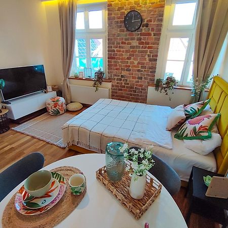 Apartamenty Piekary 11 Przy Wisle By Rentoom Stary Toruń Exteriér fotografie