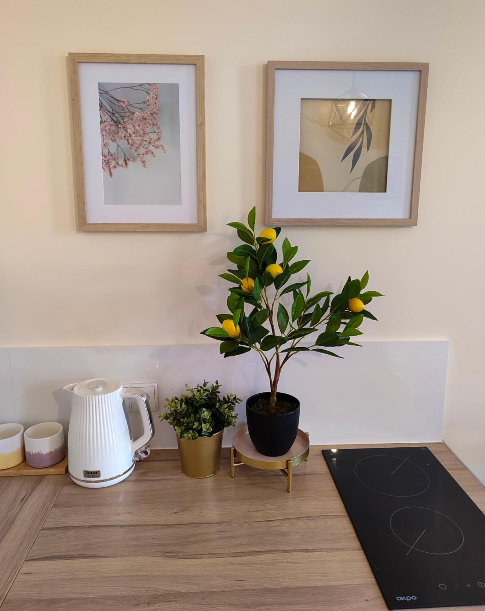 Apartamenty Piekary 11 Przy Wisle By Rentoom Stary Toruń Exteriér fotografie